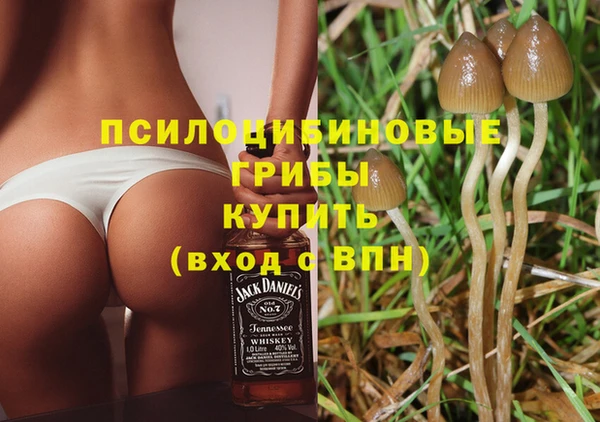 мескалин Абаза