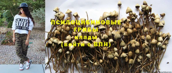 прущая мука Алзамай